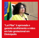 Coleção de notícias publicados por terceiros Coleção de notícias publicados por terceiros