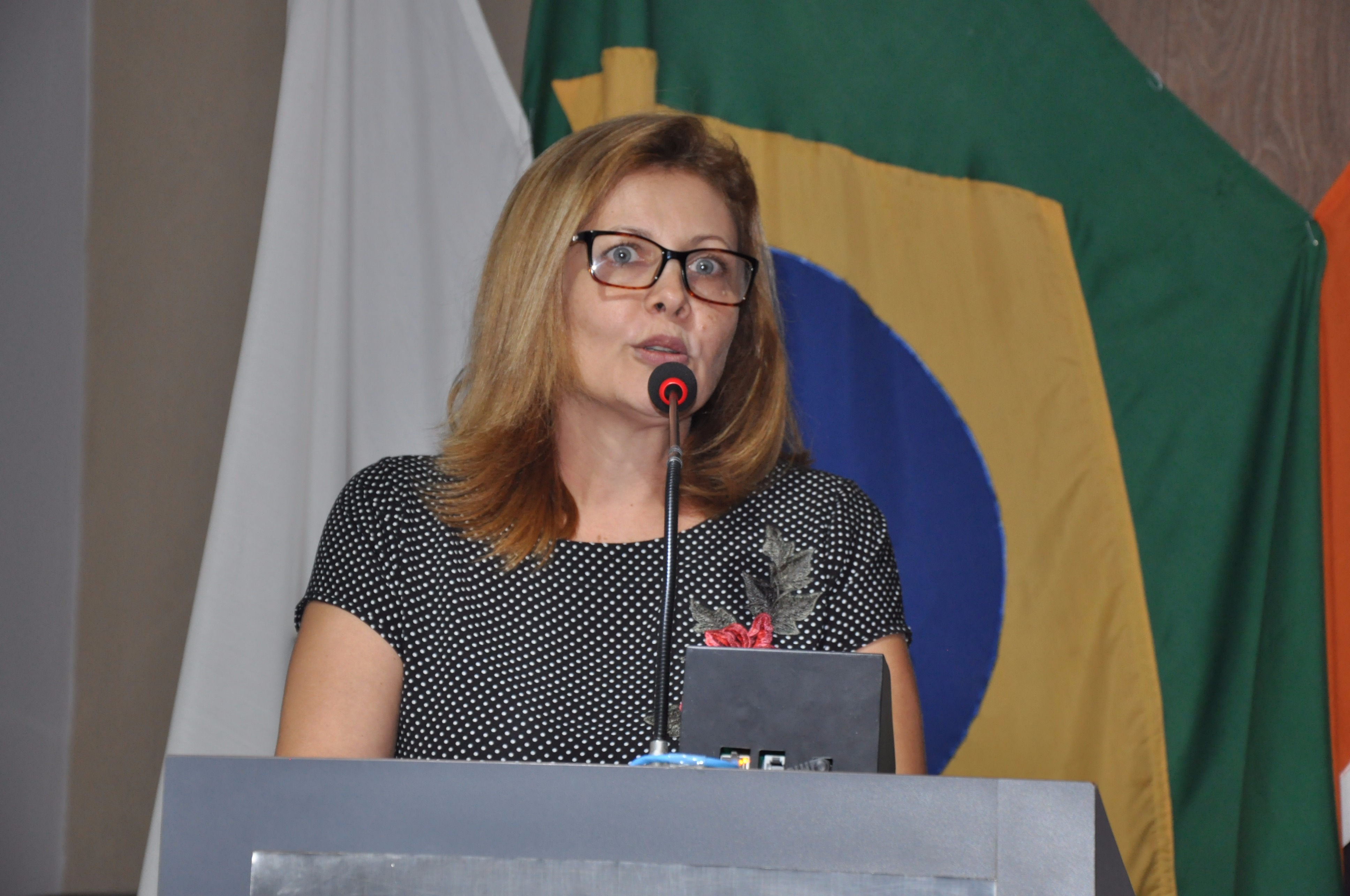 2º Mód. Curso de Oratória Prof. Elmo 03-05-2017