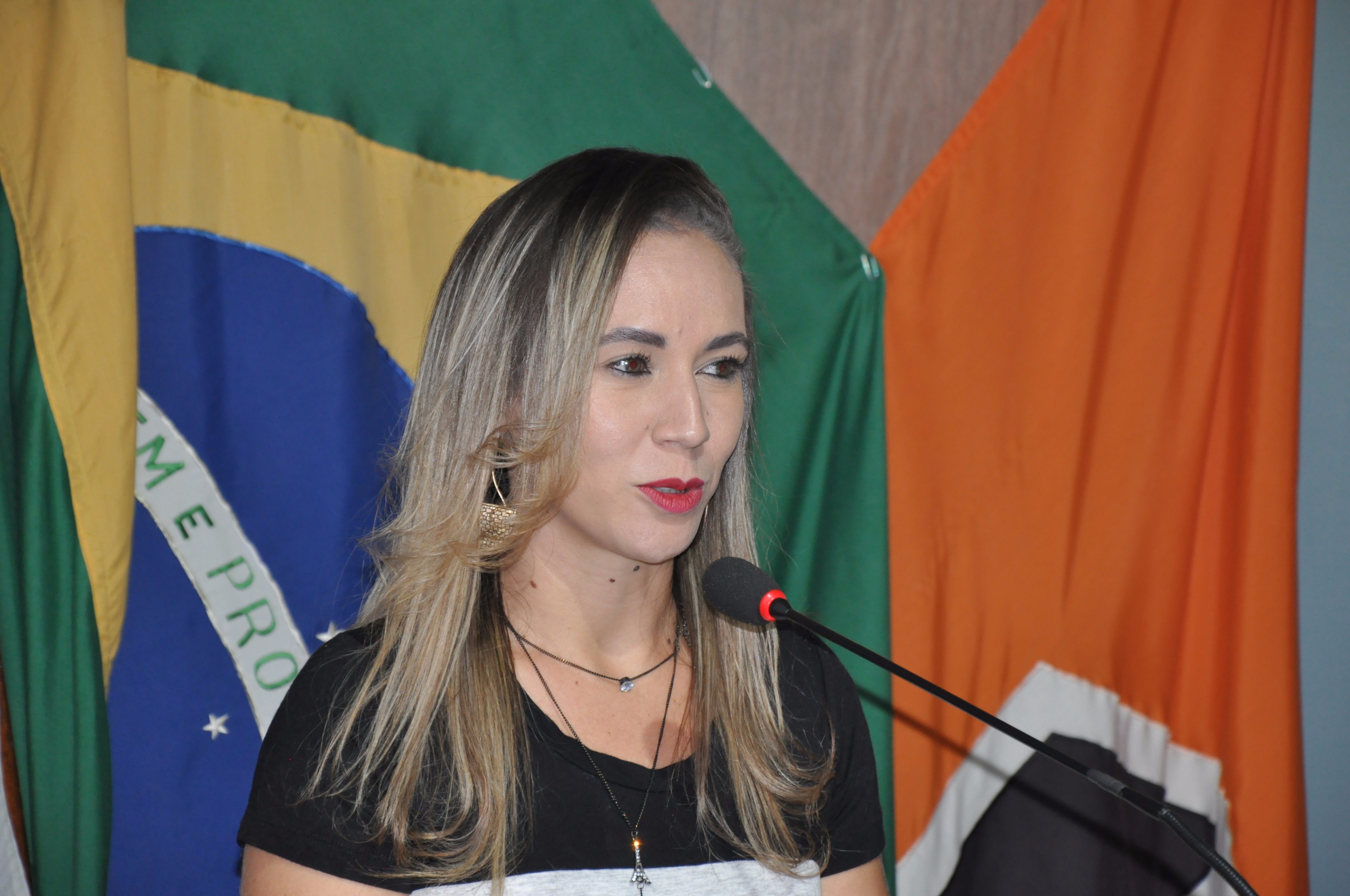 Último Módulo Curso de Oratória Prof. Elmo 12-05-2017