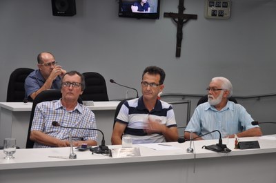 Plénario - 1° Audiência Publica Trabalho Infantil e Menor Aprendiz 29-11-2017