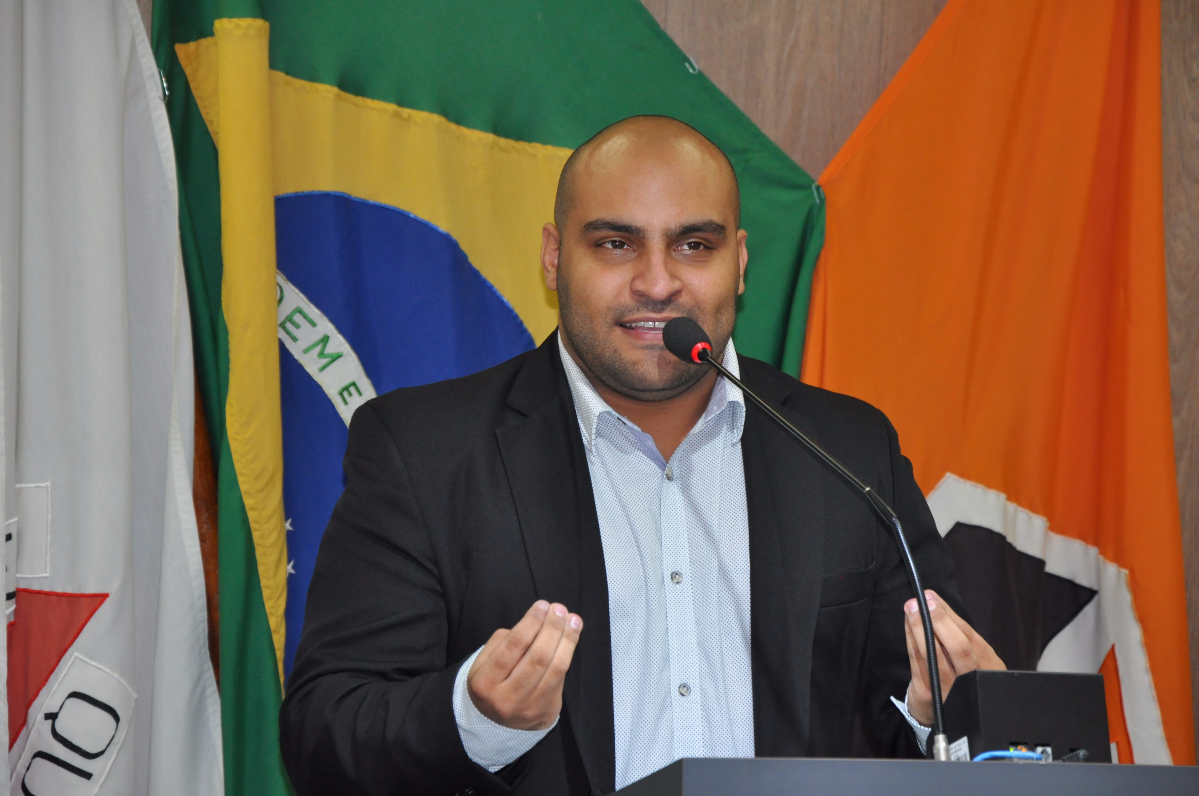 Ver. Roger RO 017 de 2017