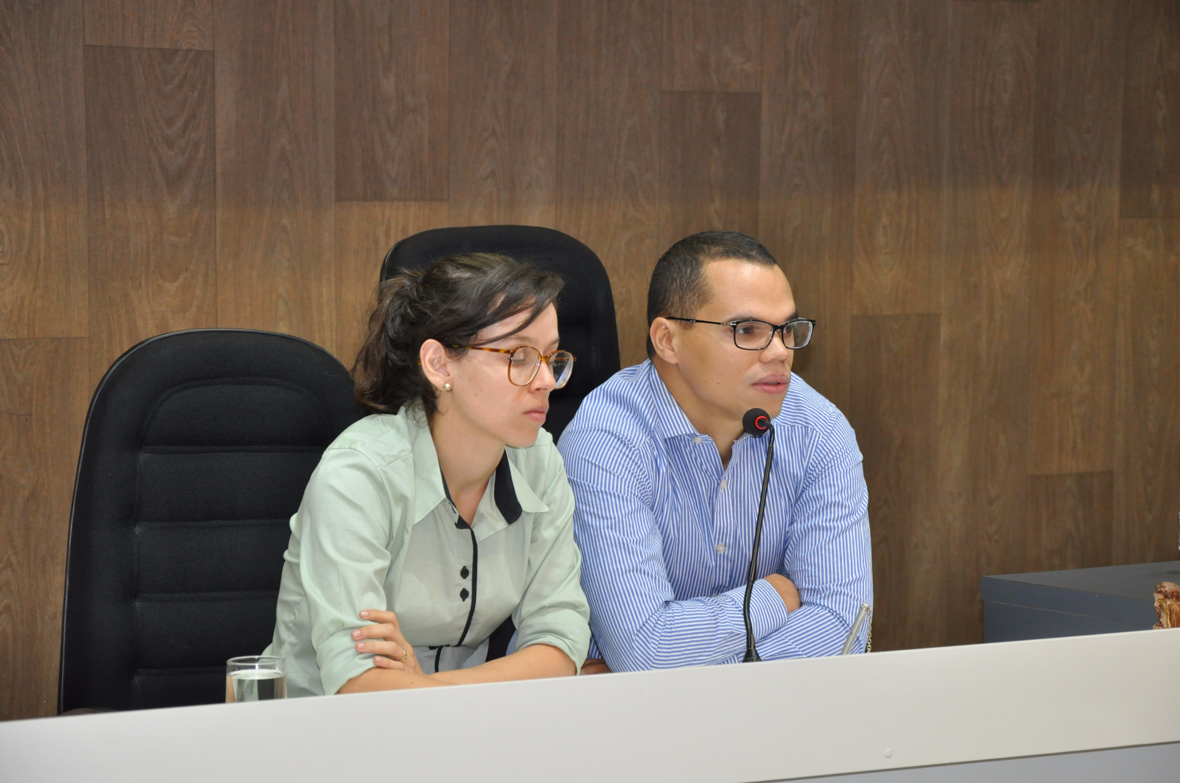 Plenário RO 019 de 2017