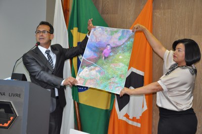 Plenário RO 019 de 2017