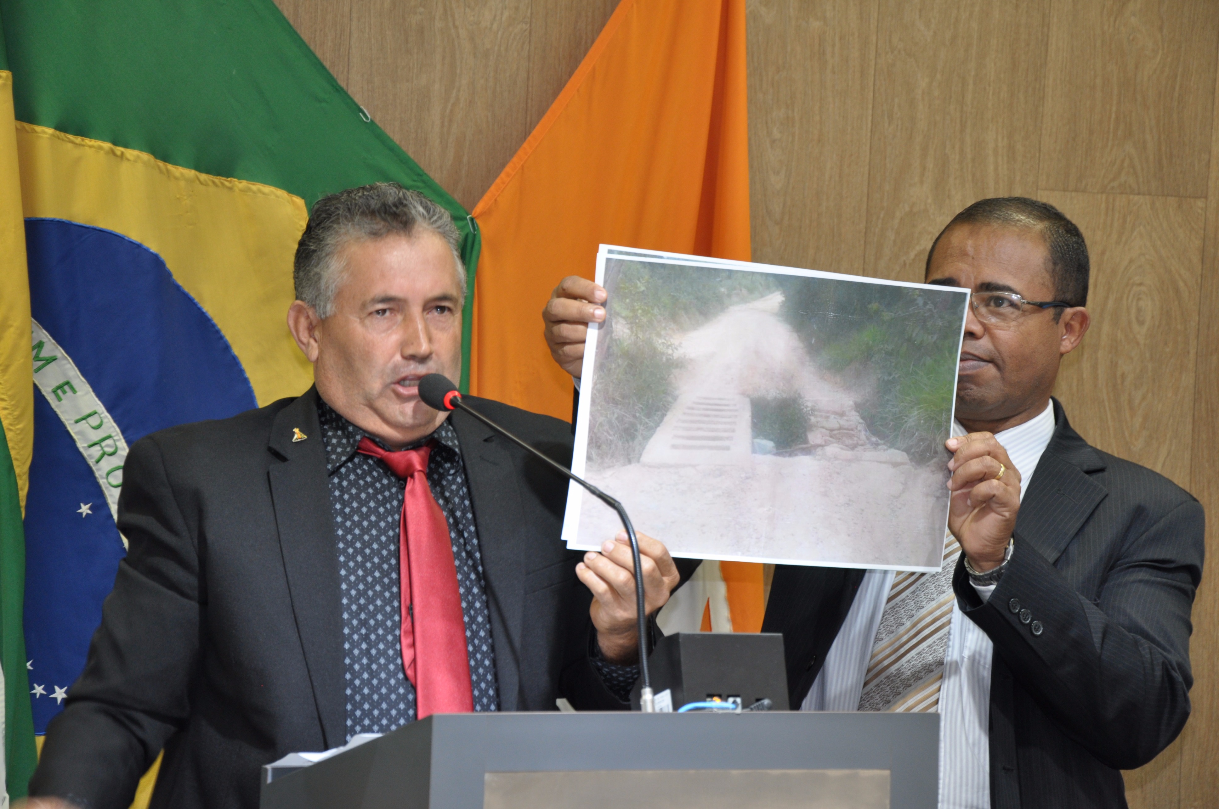 Plenário RO 020 de 2017