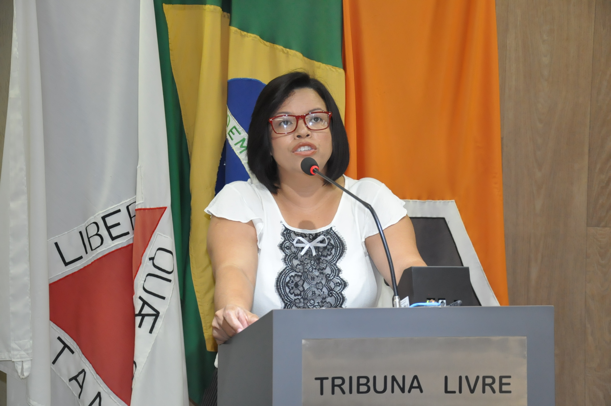 Ver. Janete Aparecida - RO 074 de 04 de Dezembro de 2017