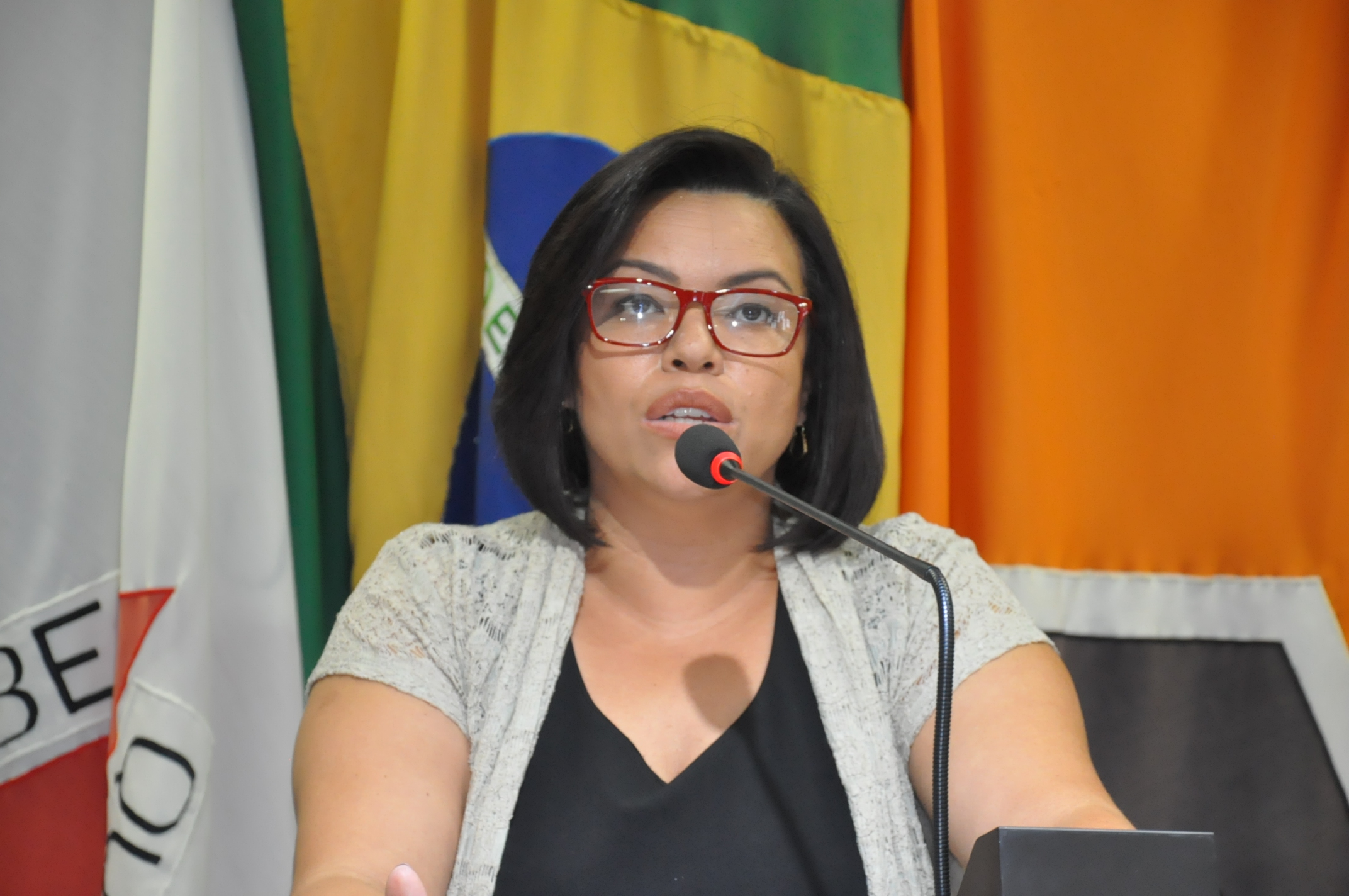 Ver. Janete Aparecida  - RO 076 de 12 de Dezembro de 2017 