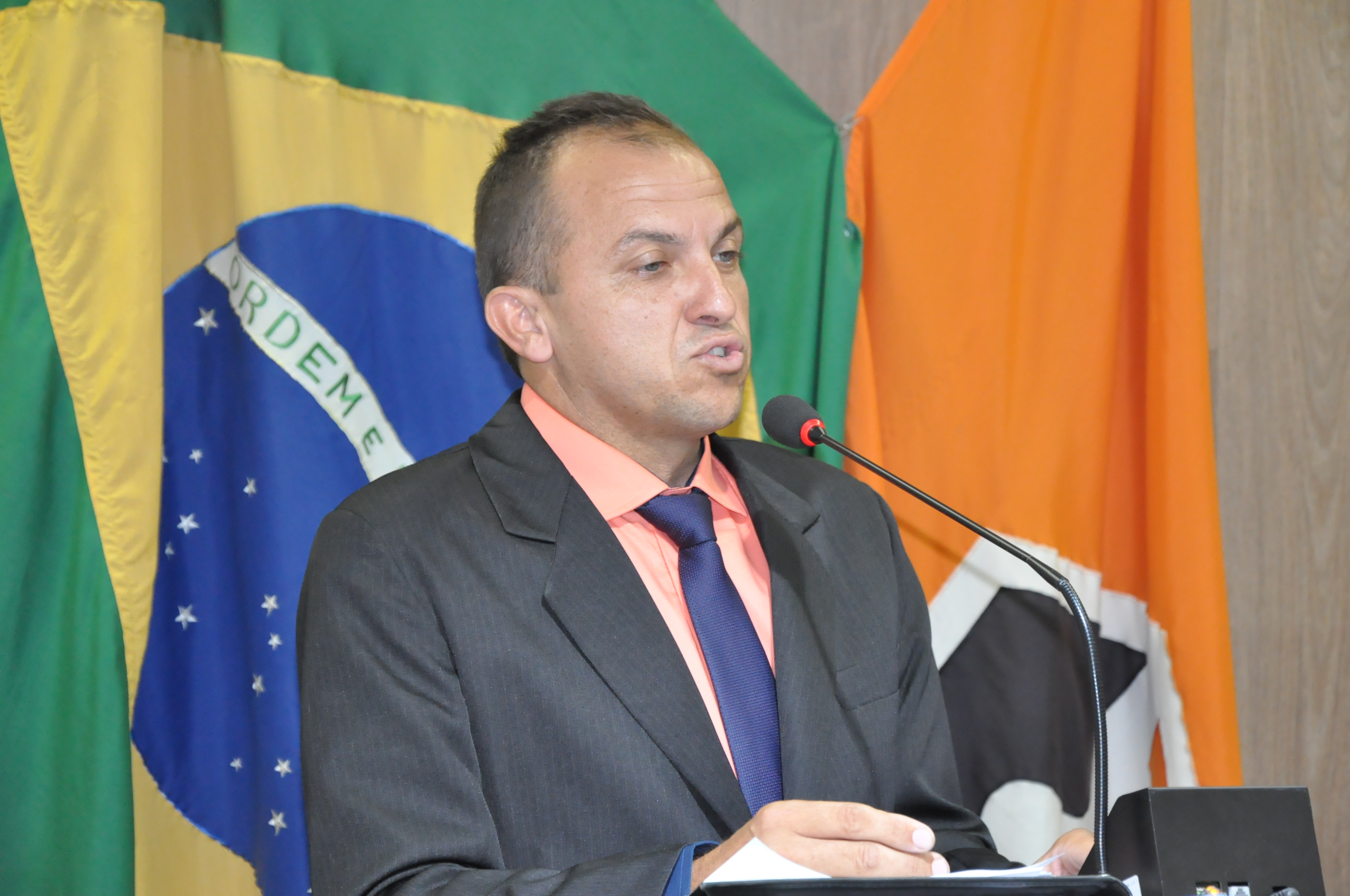 Ver. Renato RO 003 de 2017