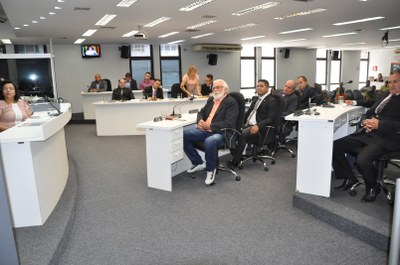 Plenário RO 004 de 2017