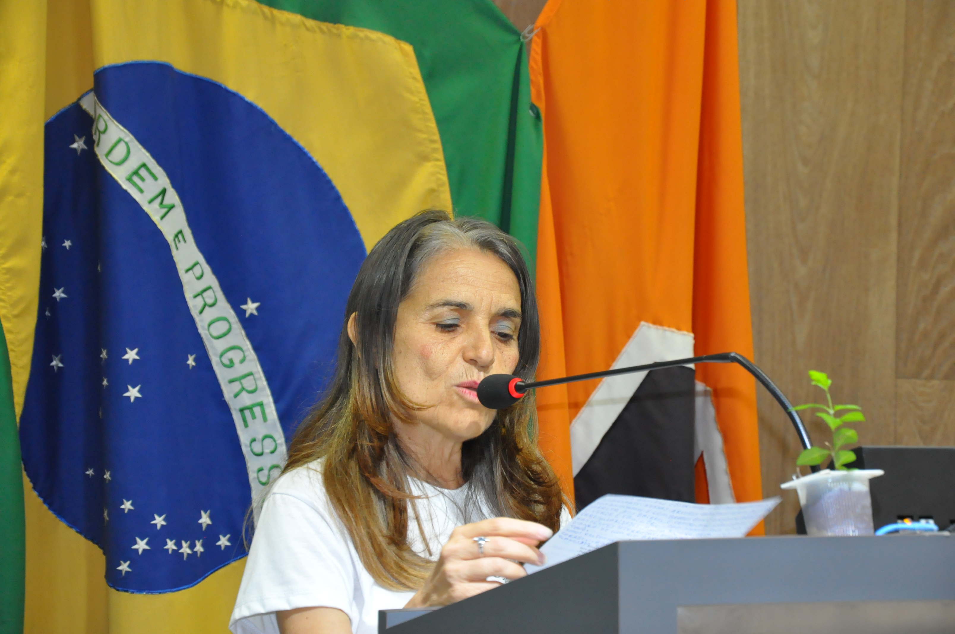 Tribuna Livre RO 007 de 2017