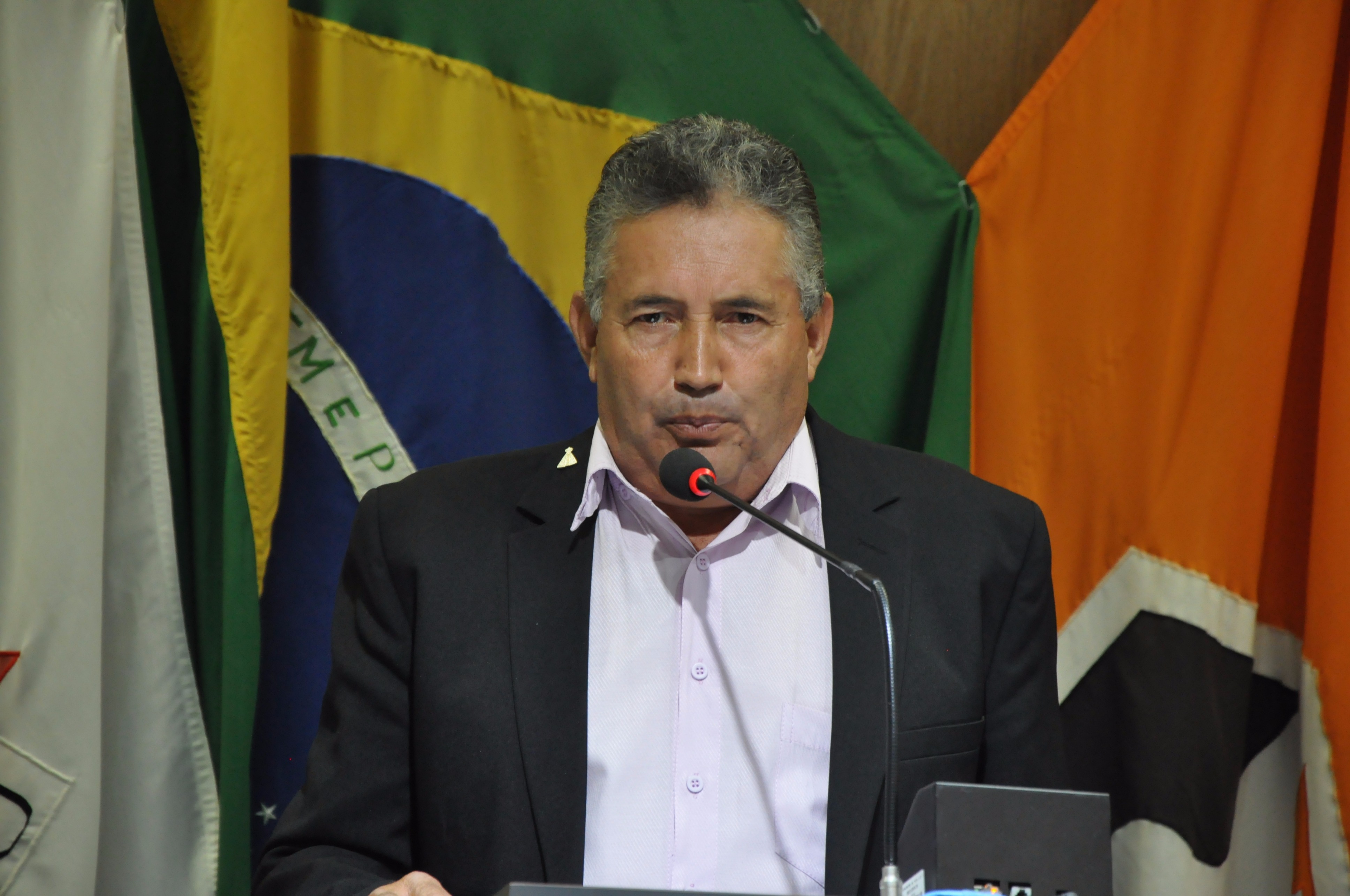 Ver. Nego RO 024 de 2017