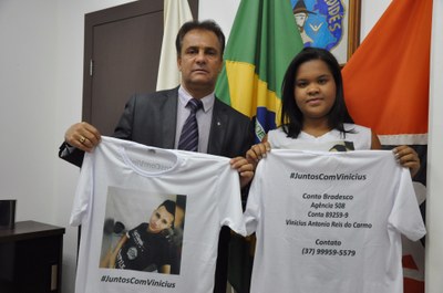 Plenário RO 026 de 2017