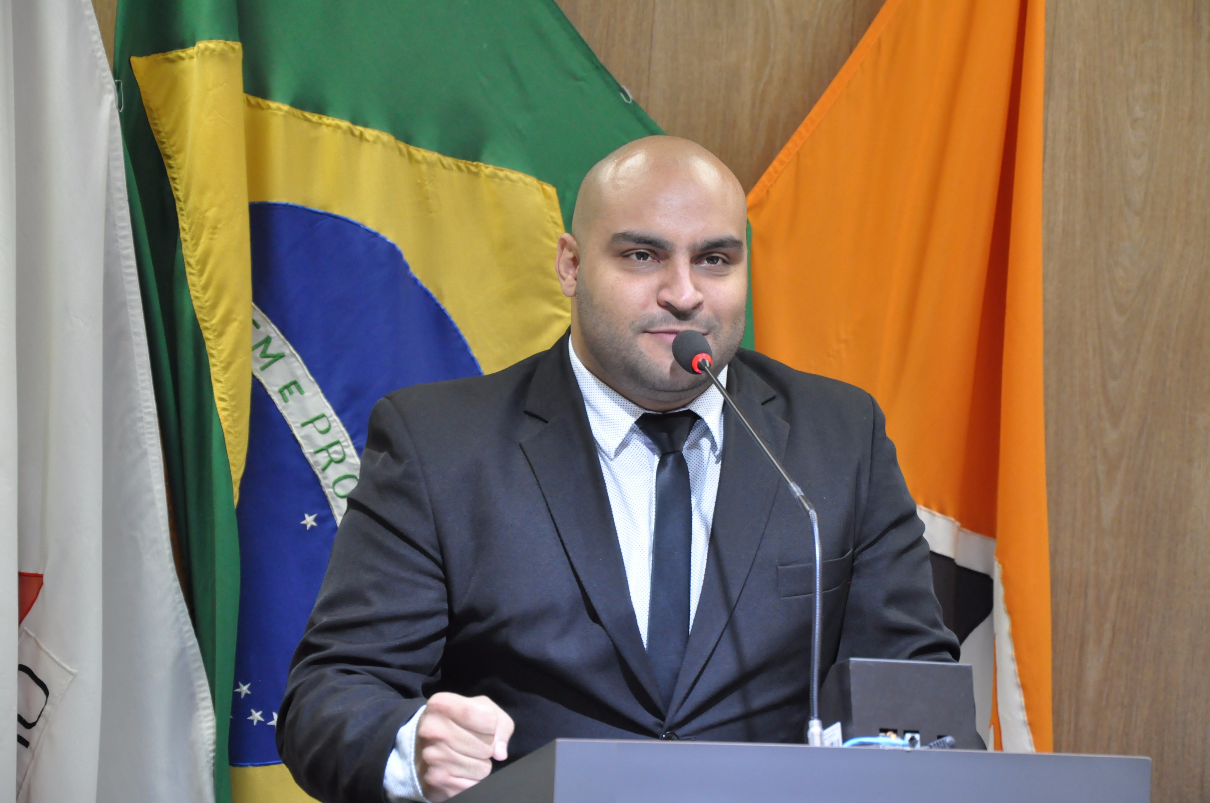 Ver. Roger RO 026 de 2017