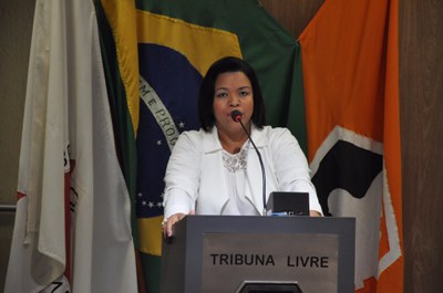 Ver. Janete RO 027 de 2017