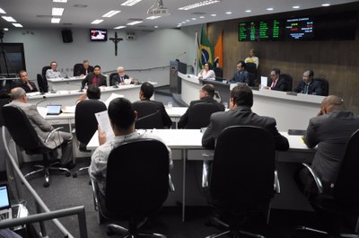 Plenário RO 028 de 2017