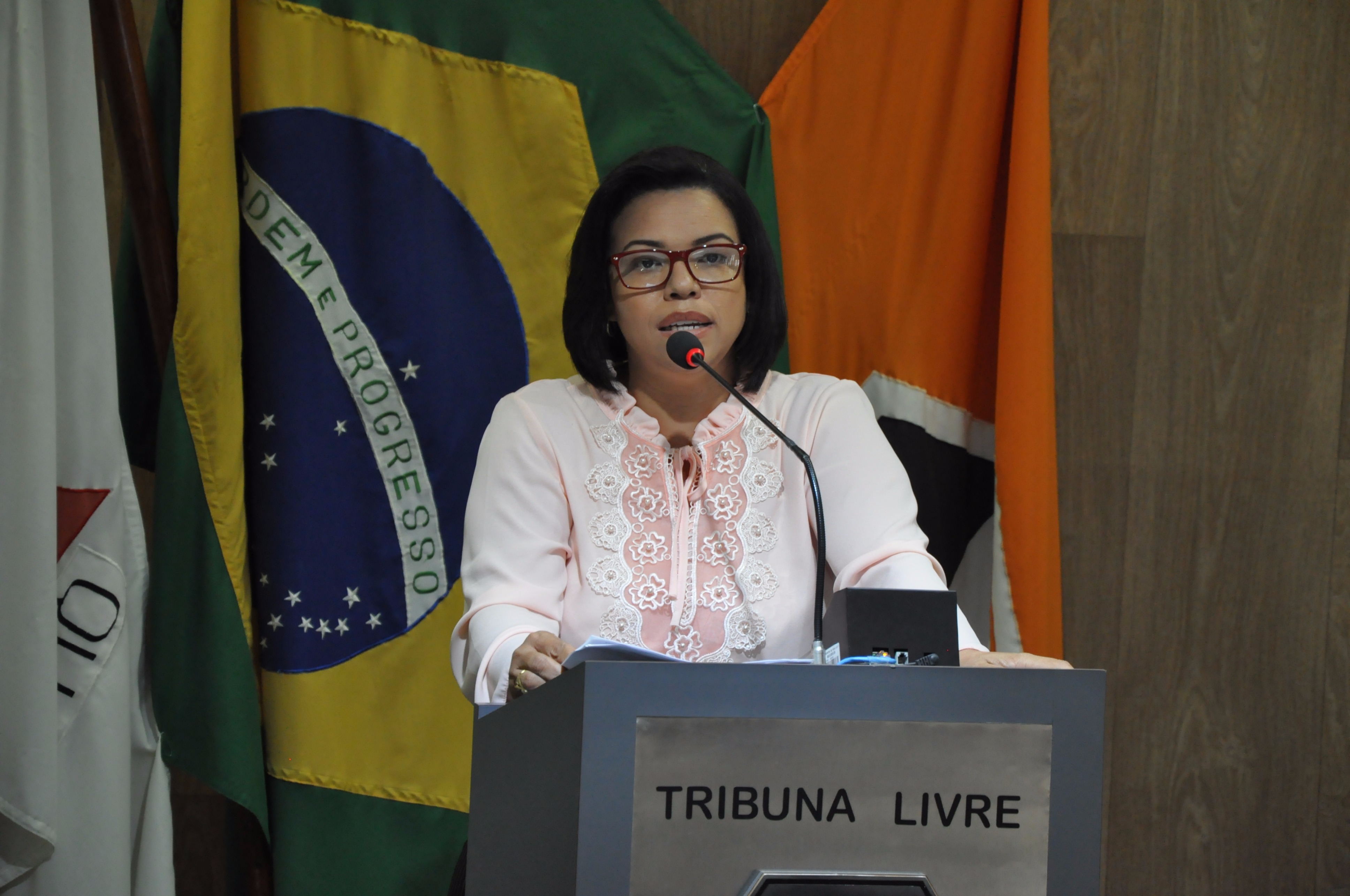 Ver. Janete RO 028 de 2017