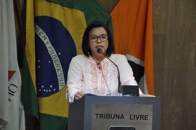 Ver. Janete RO 028 de 2017