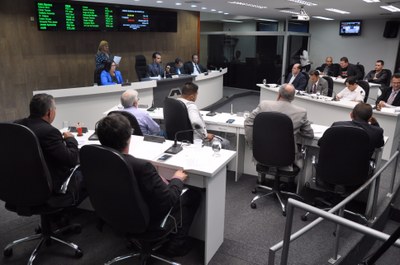 Plenário RO 029 de 2017