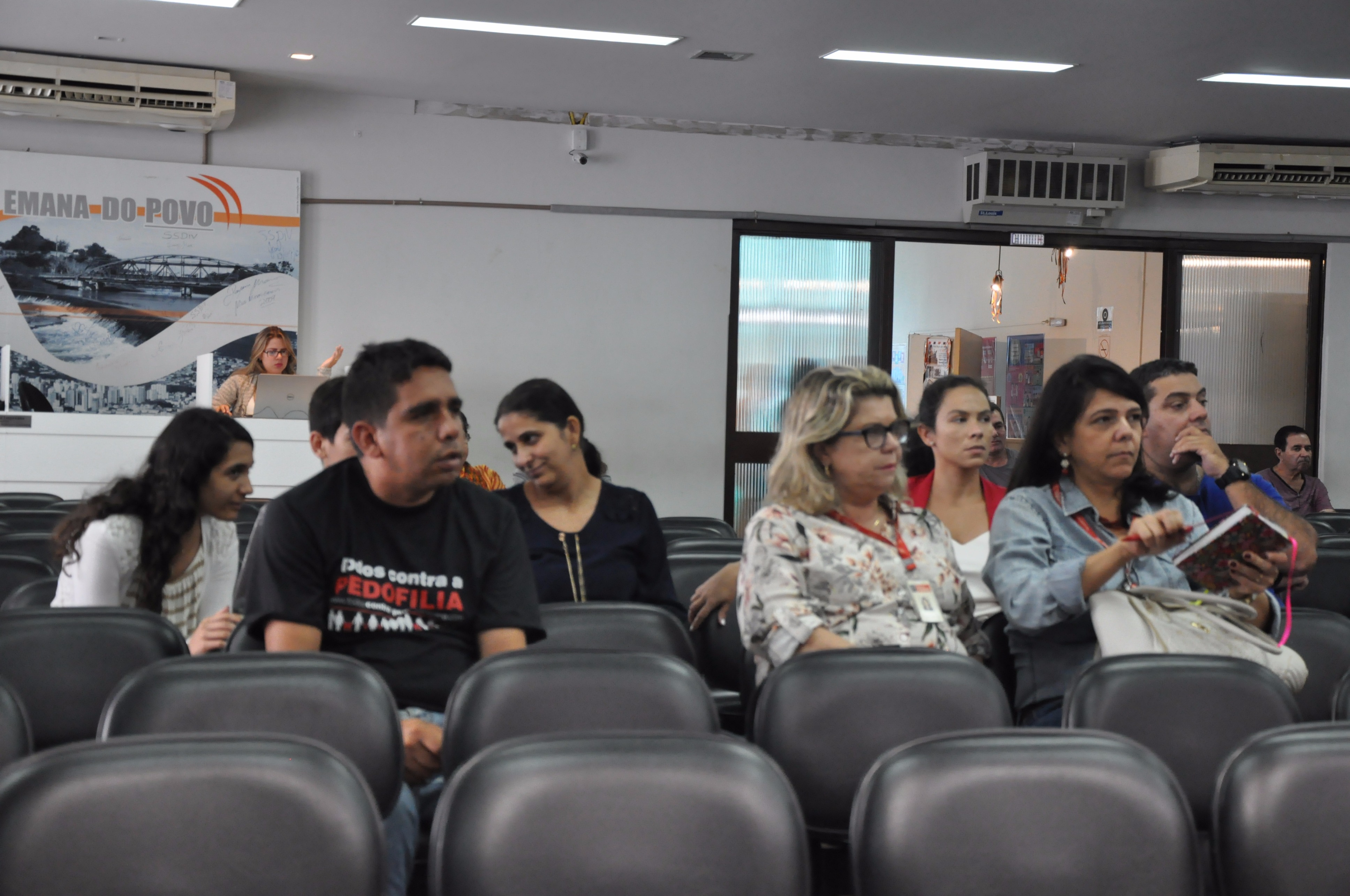 Plenário RO 029 de 2017