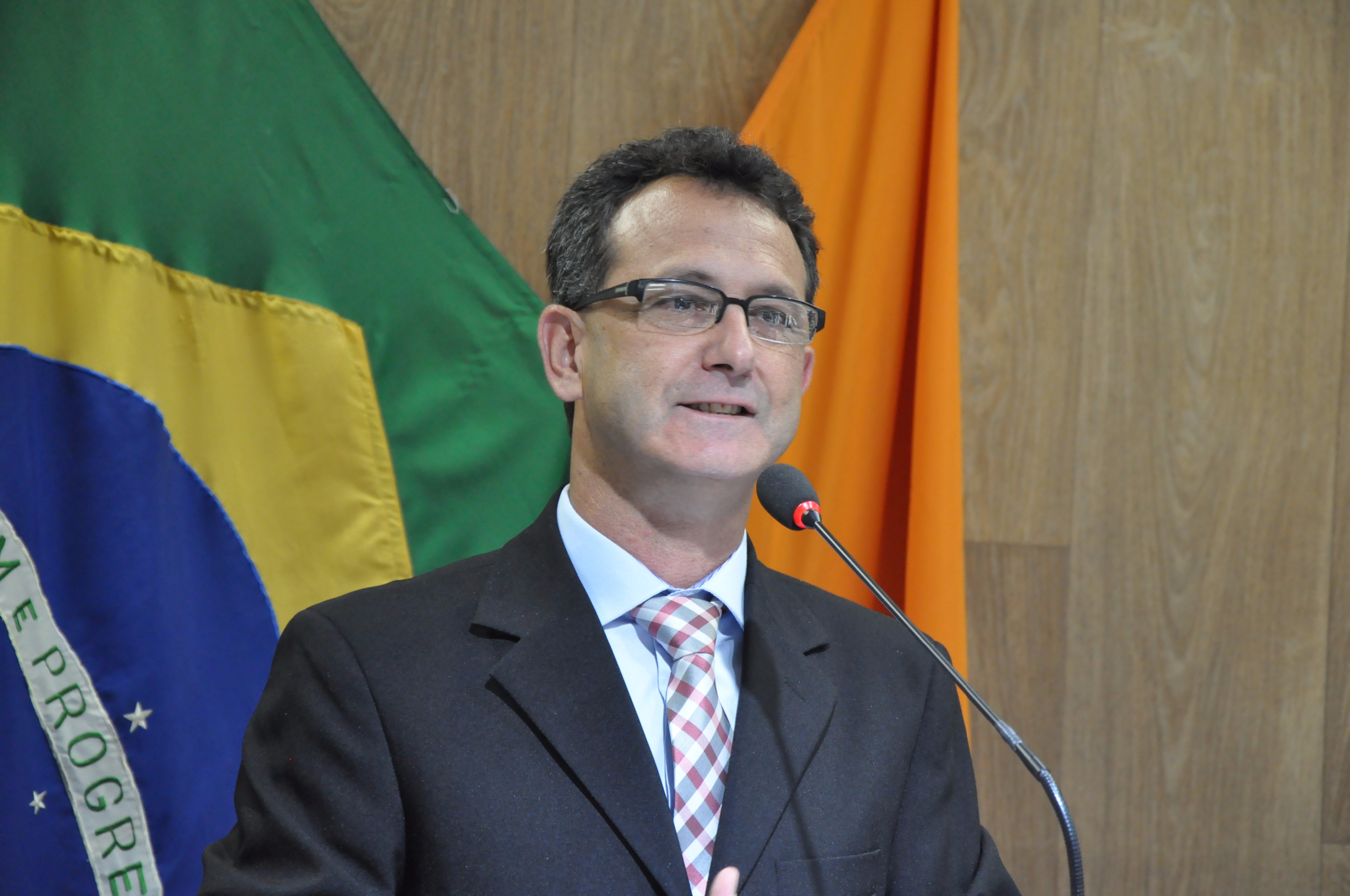 Ver. Ademir RO 029 de 2017