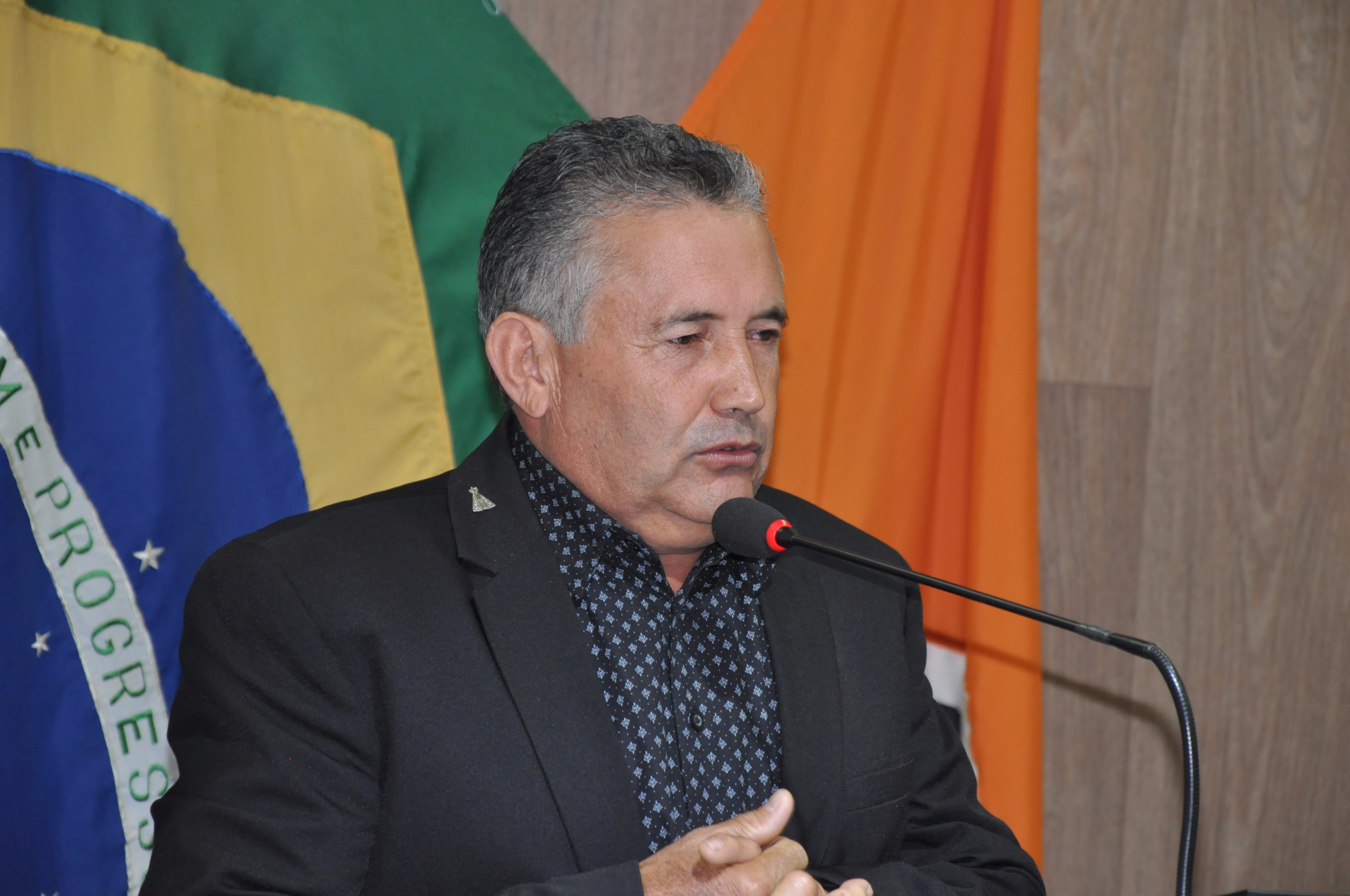 Ver. Nego RO 029 de 2017