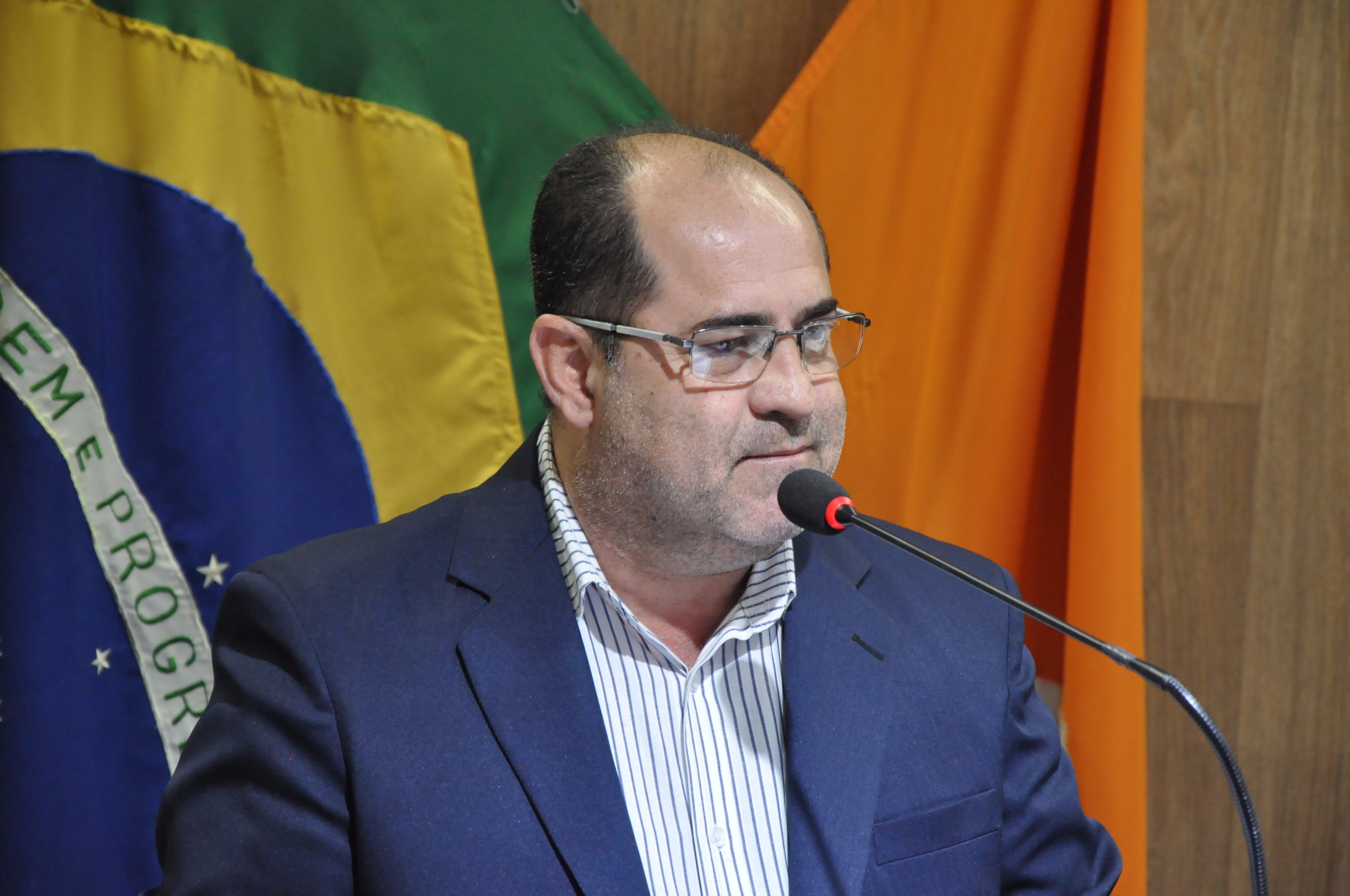 Ver. Sarg.Elton RO 029 de 2017