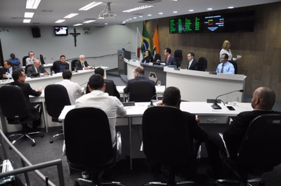 Plenário RO 030 de 2017