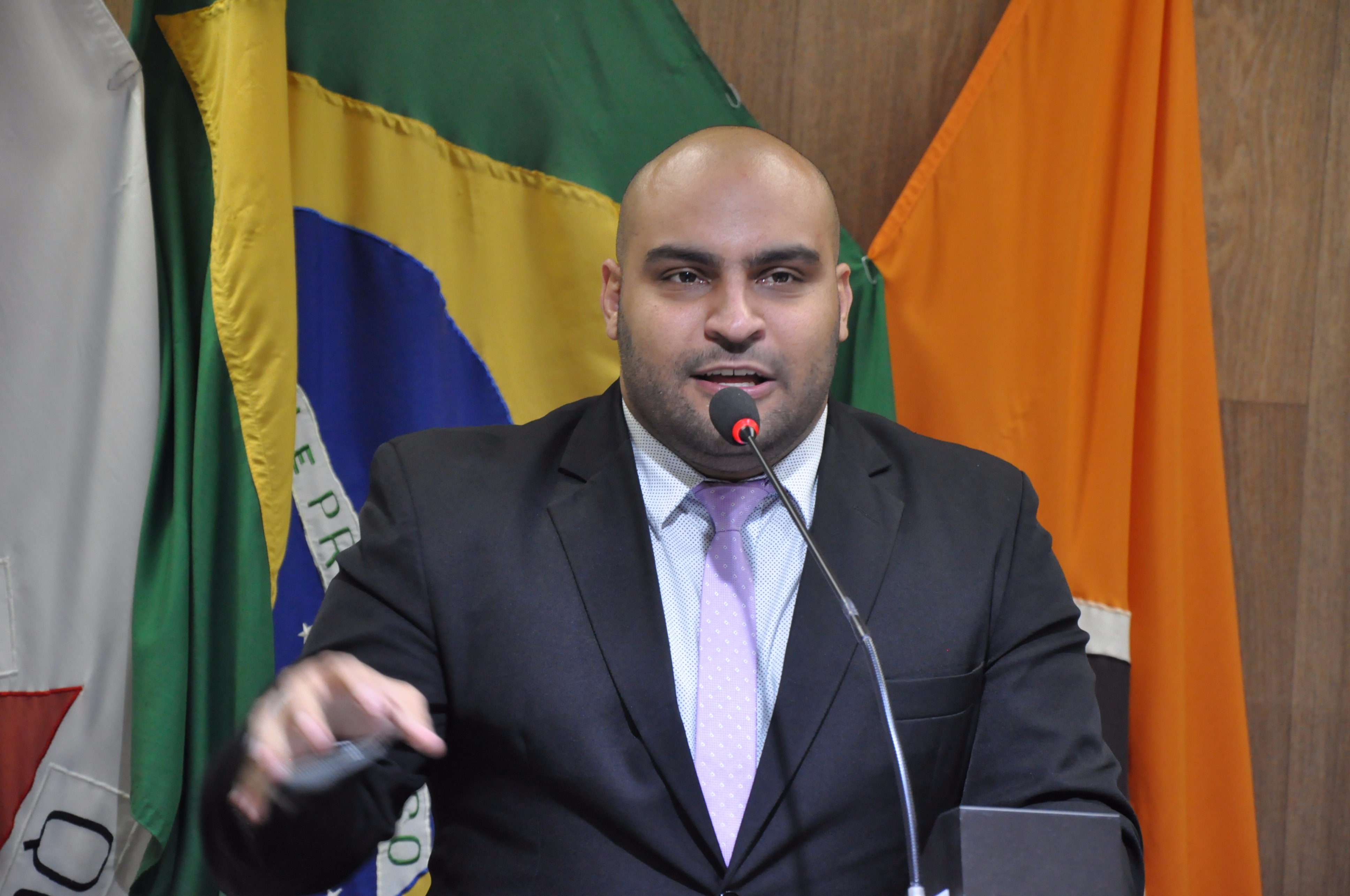 Ver. Roger RO 030 de 2017