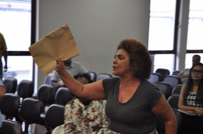 Plenário RO 031 de 2017