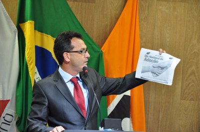 Ver. Ademir RO 031 de 2017