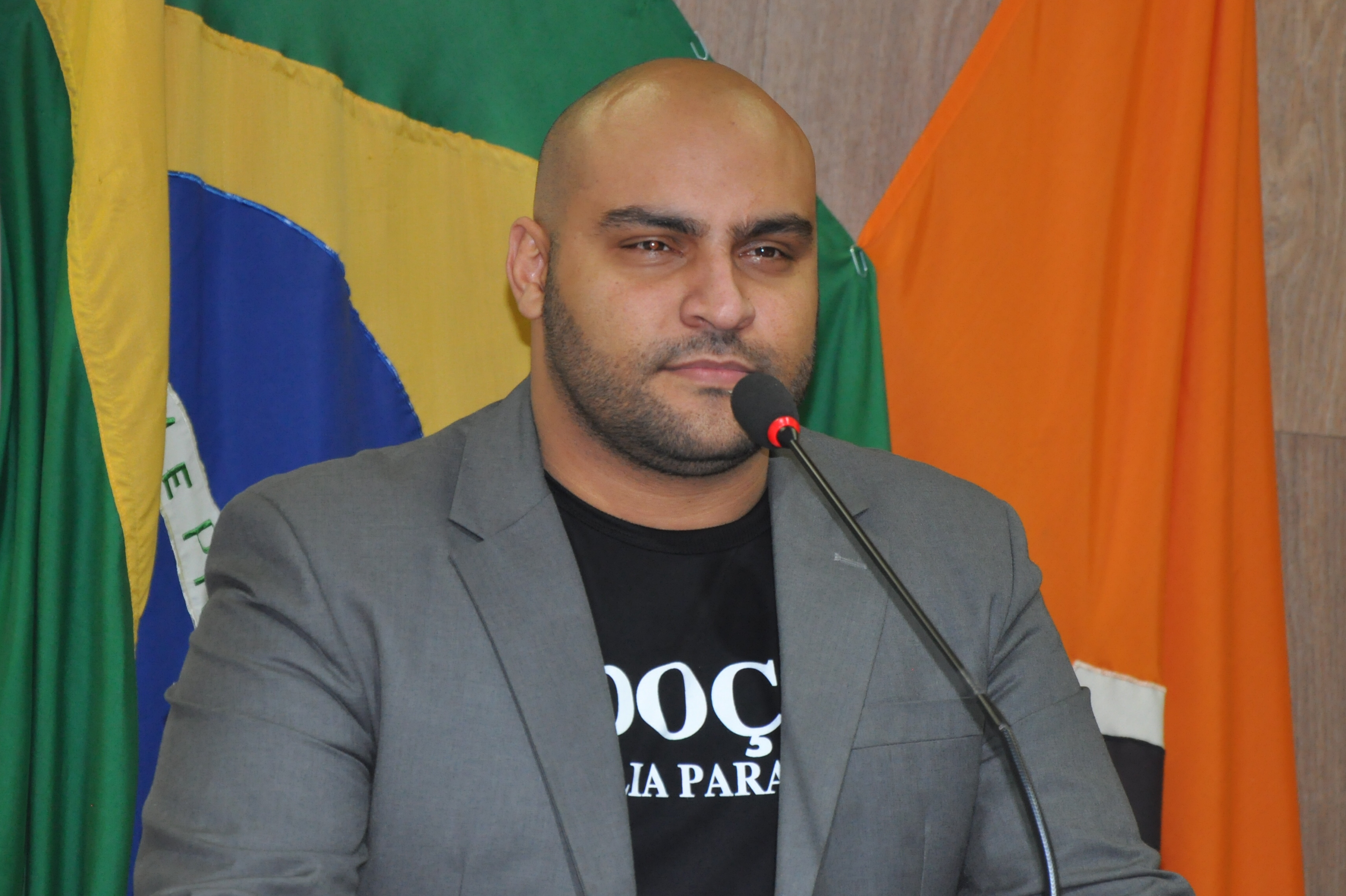 Ver. Roger RO 031 de 2017