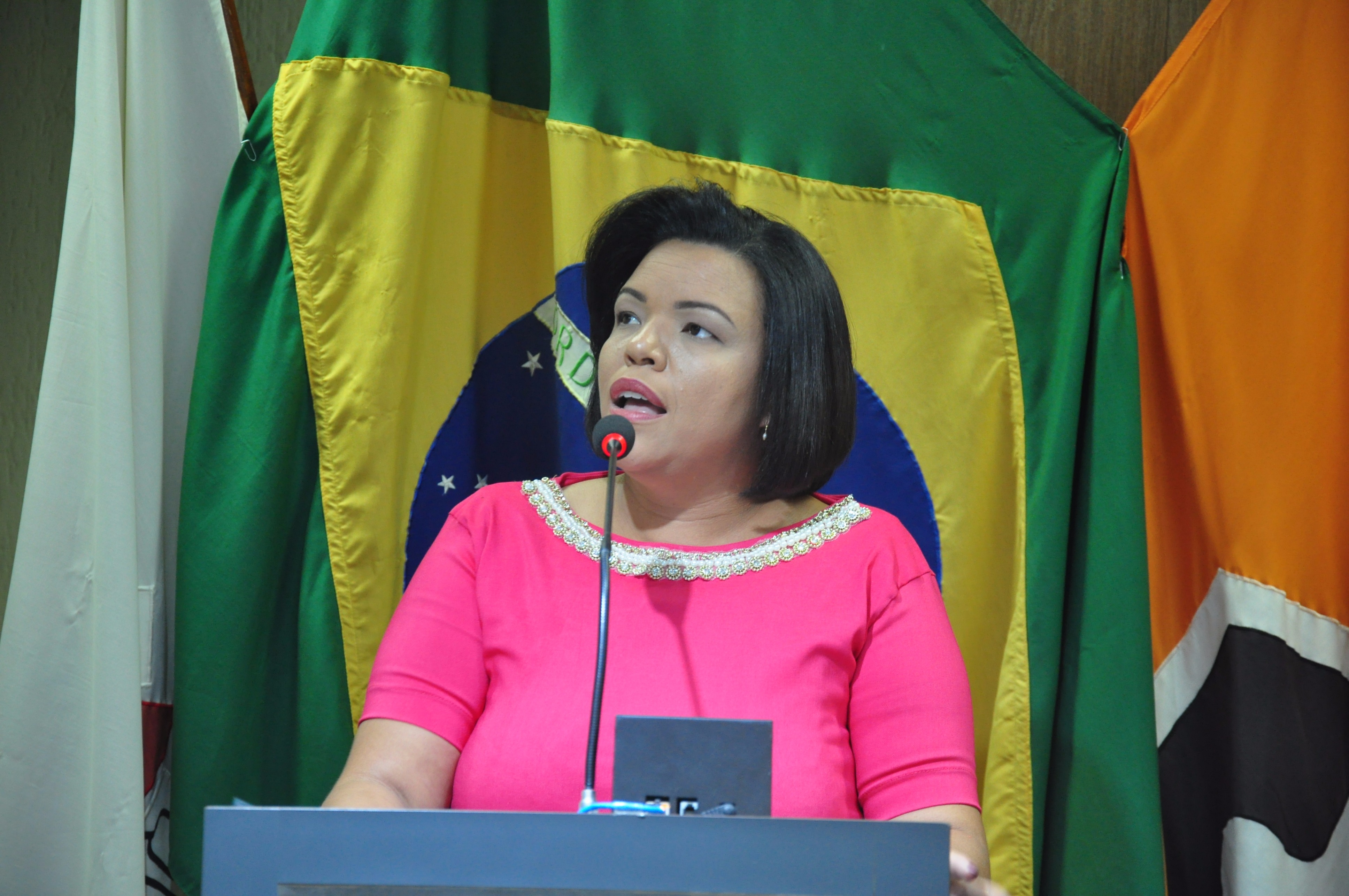 Ver. Janete RO 009 de 2017