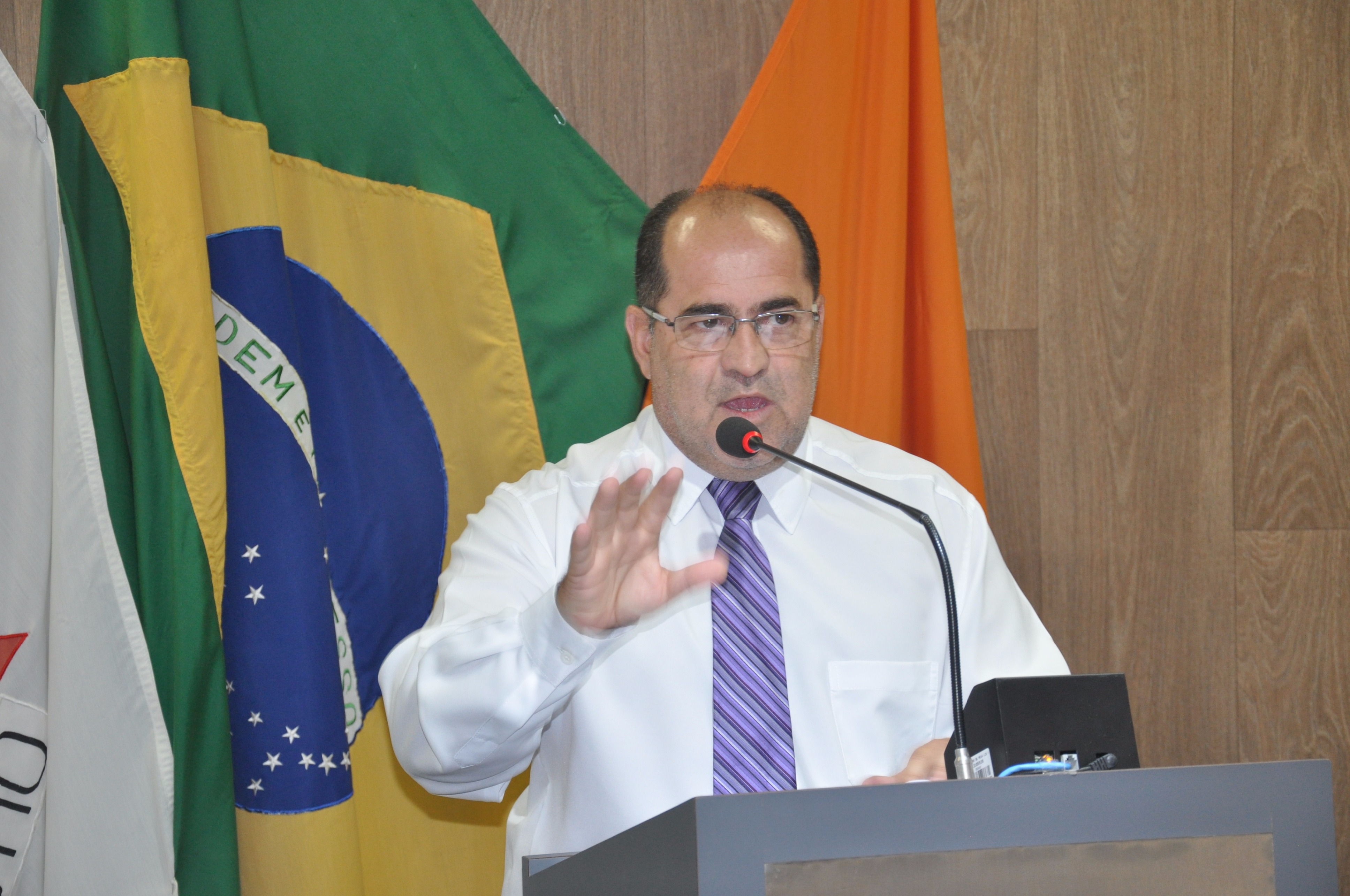 Ver. Sarg.Elton RO 010 de 2017