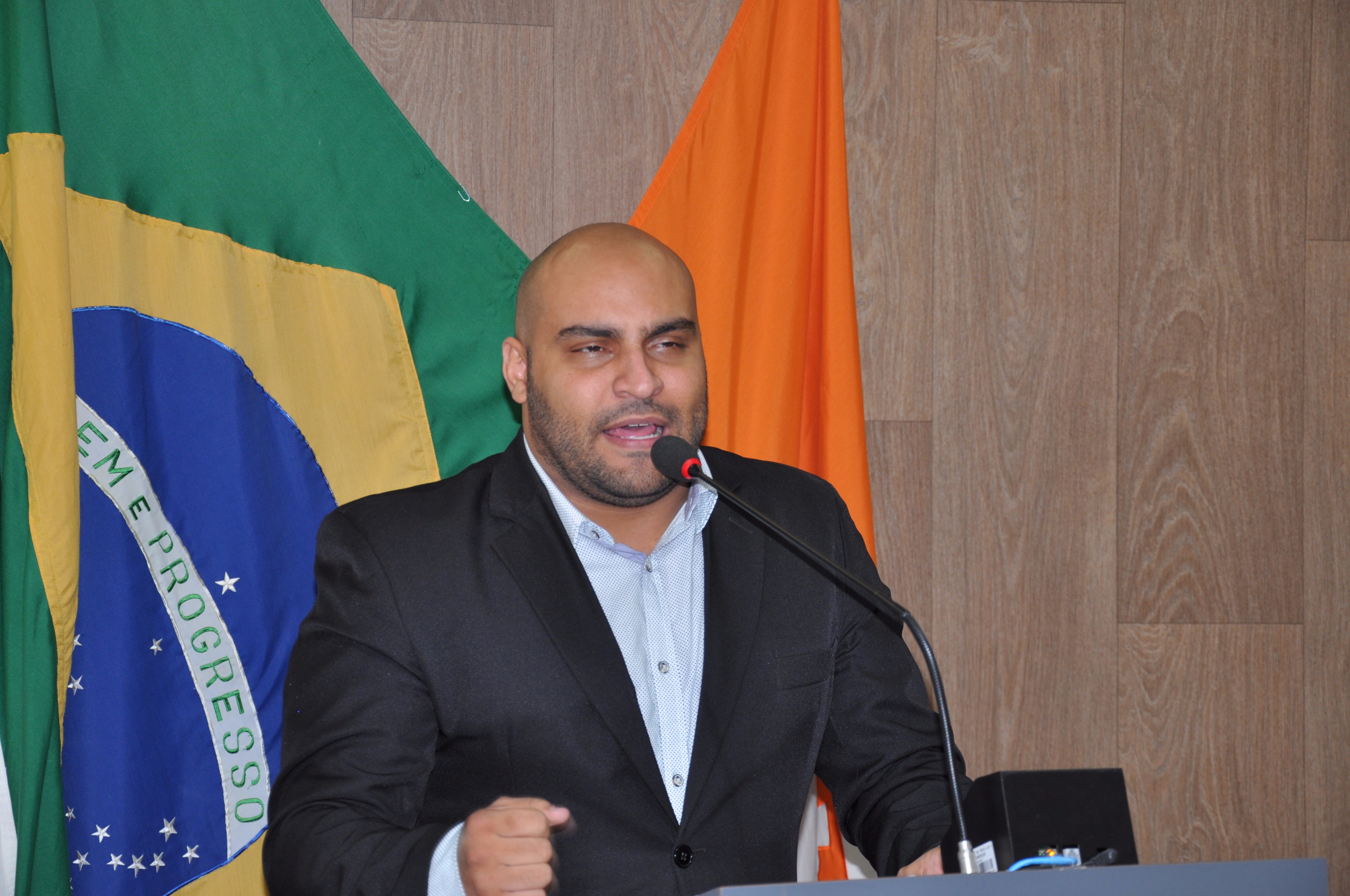 Ver. Roger RO 011 de 2017