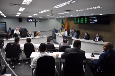 Plenário RO 013 de 2017