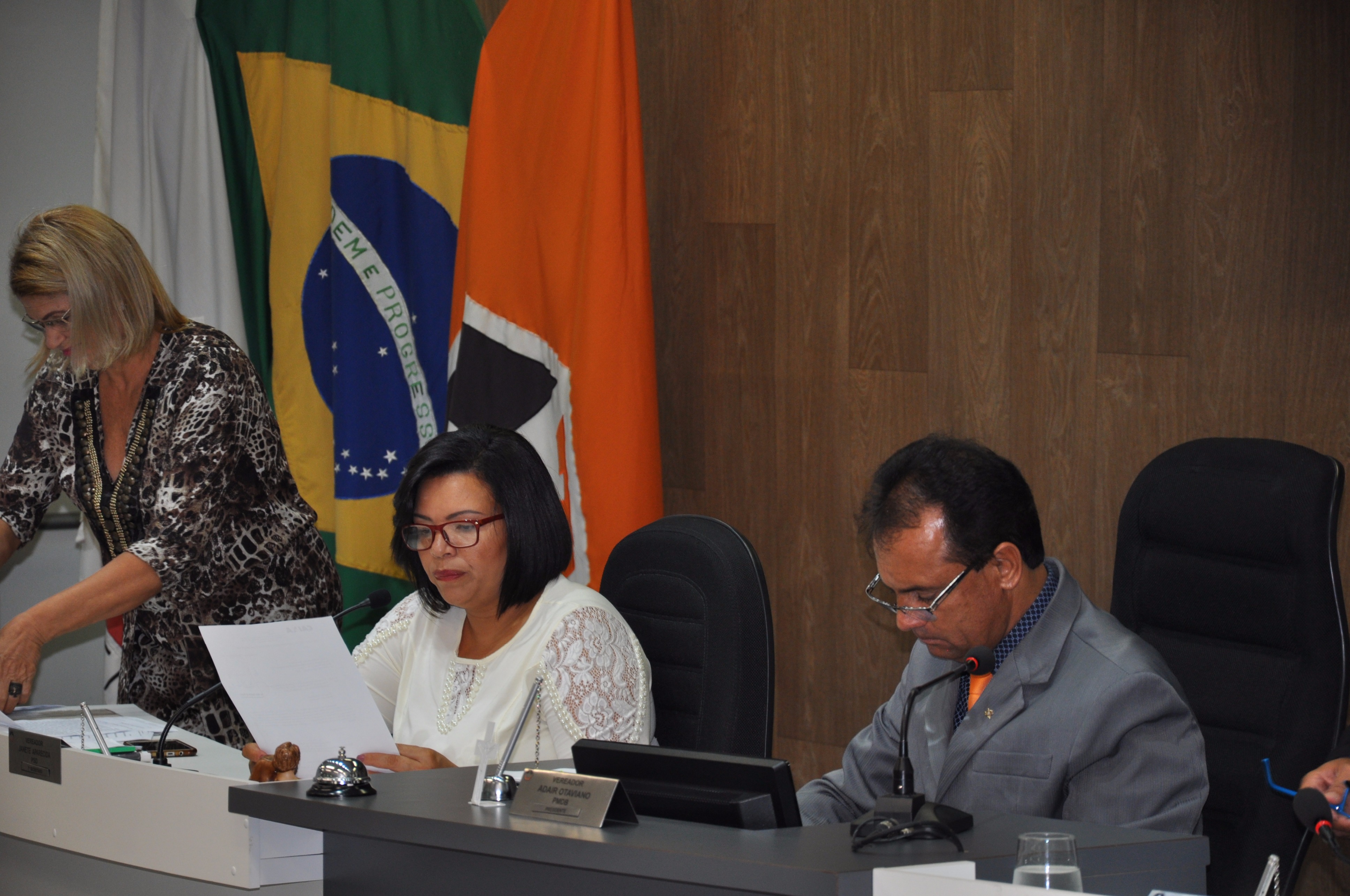 Plenário RO 065 de 2017