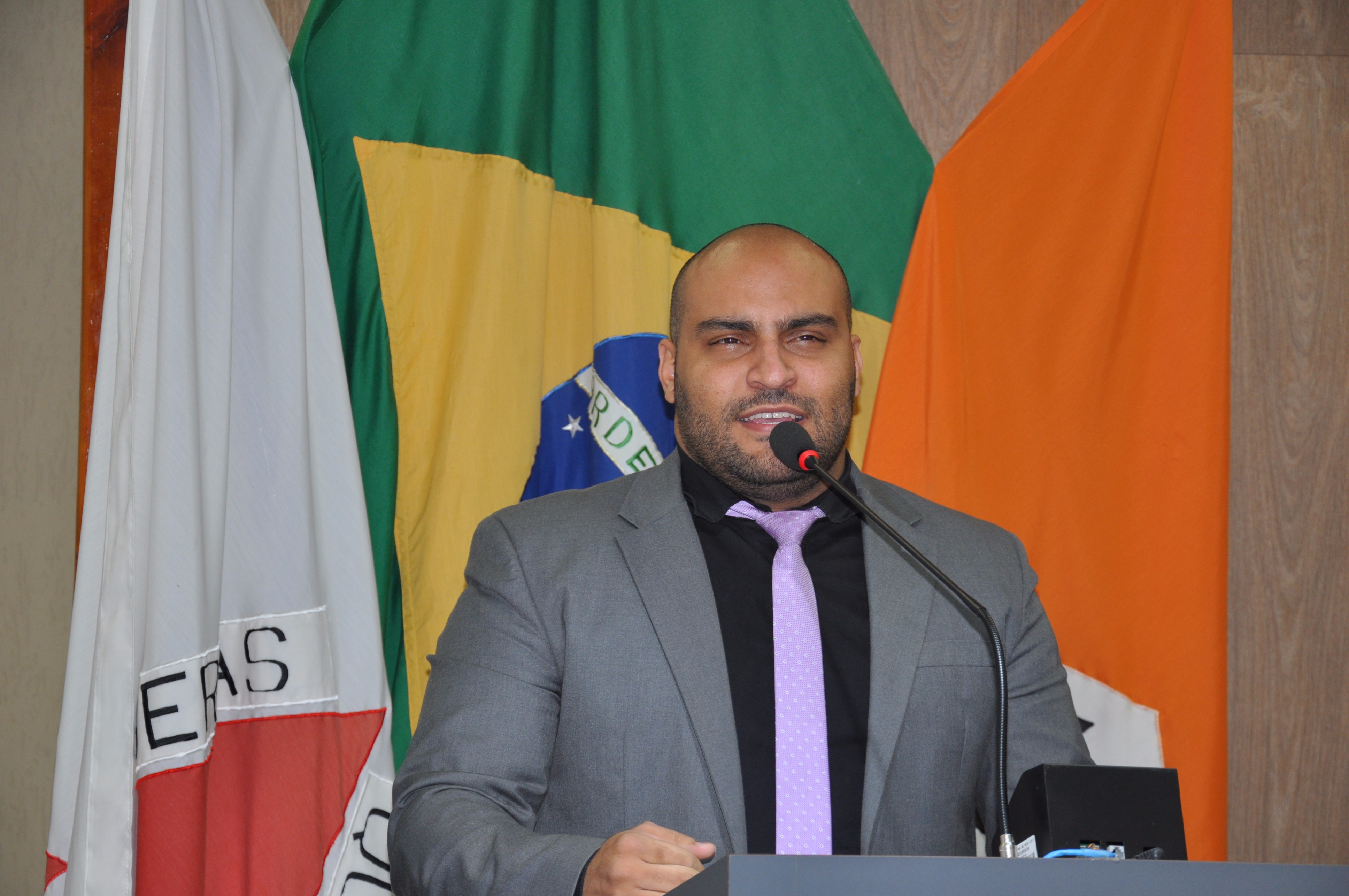 Ver. Roger RO 065 de 2017