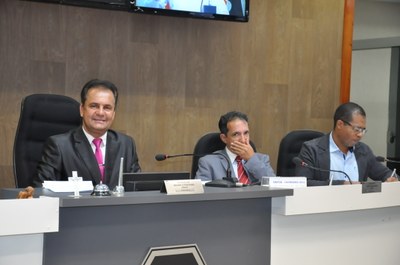 Plénario -Reunião Ordinária 033, de 12 de junho de 2018 