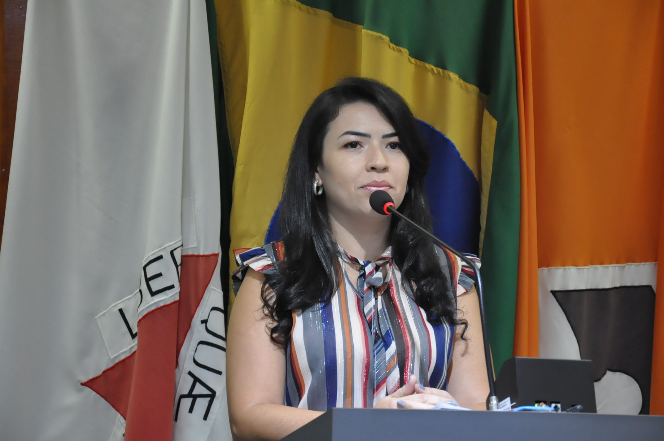 Liziane TV Câmara - RO 009 de 07 de Março de 2018