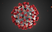 Comissão de Saúde apresenta dados do combate ao novo coronavírus em Divinópolis