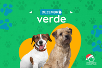 Vereador se destaca na luta contra o abandono de animais