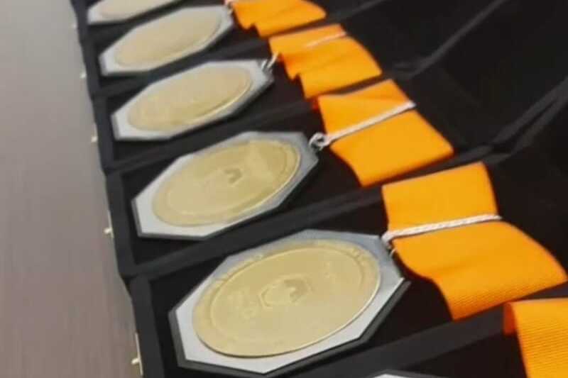 Vereadores entregam Medalha Candidés 2024