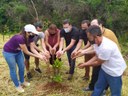Vereadores de Divinópolis participam do plantio de 100 mudas de árvores no Bairro Fonte boa Vereadores de Divinópolis participam do plantio de 100 mudas de árvores no Bairro Fonte boa